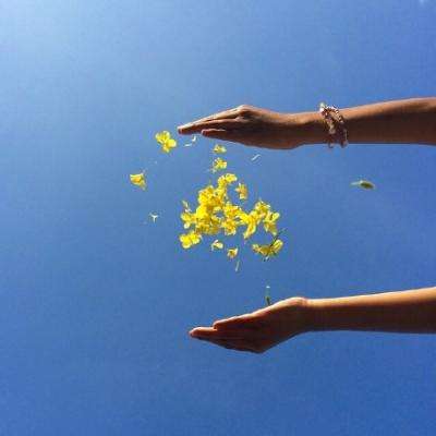 加拿大pc软件平台下载手机版截图