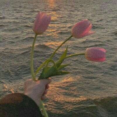 欧宝娱乐APP官方下载