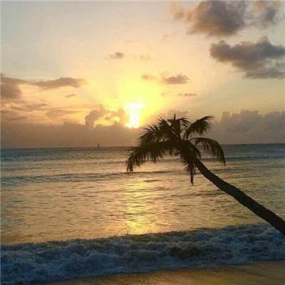 火狐电竞app下载