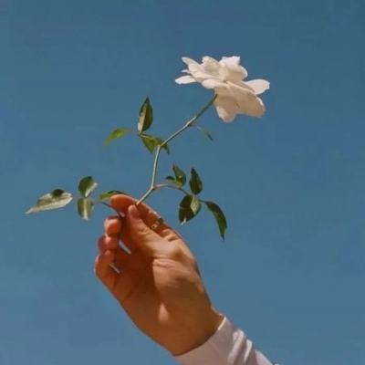 永盈会下载手机版