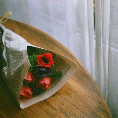 管家婆一码一肖资料大全app下载