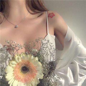 加拿大pc软件平台下载手机版截图